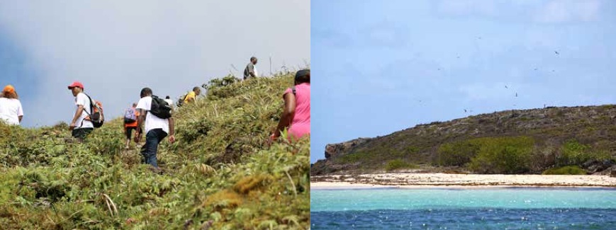 Le Parc Naturel Régional de la Martinique : une stratégie de développement axée sur la diversité naturelle et culturelle