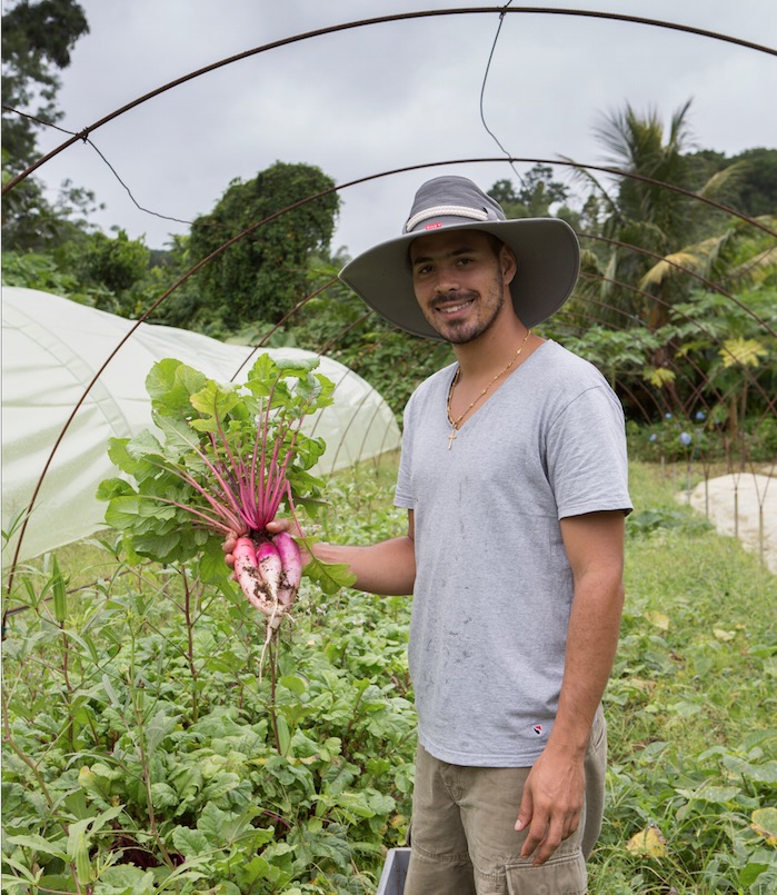 David Dondin de l'exploitation agricole biologique Bouliki Bio - Saint-Joseph, Martinique