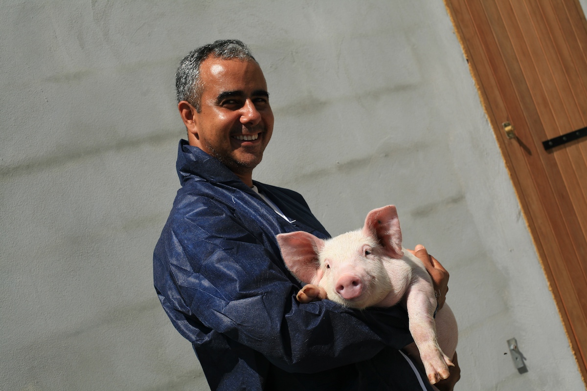 Porc Pays : une filière structurée et gage de qualité