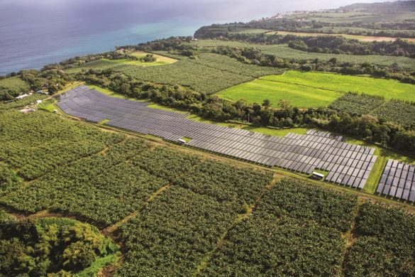 Panneaux solaires en Martinique