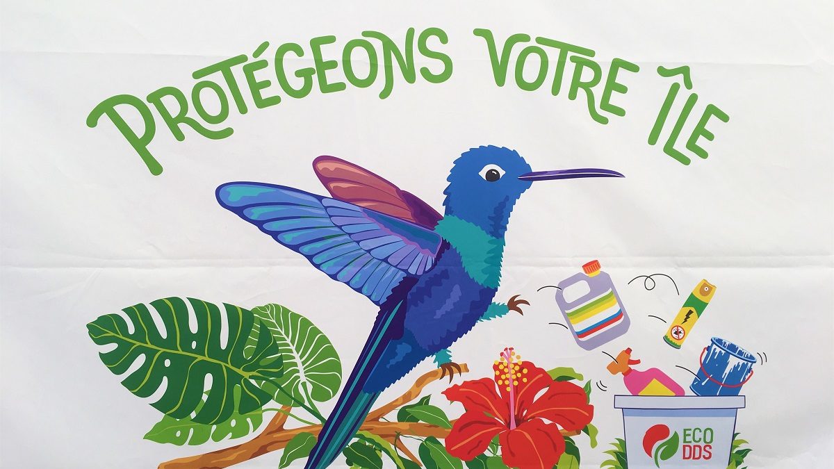 EcoDDS : collecte des produits chimiques toxiques aux Antilles