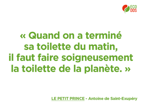 Citation sur l'environnement tirée du Petit Prince