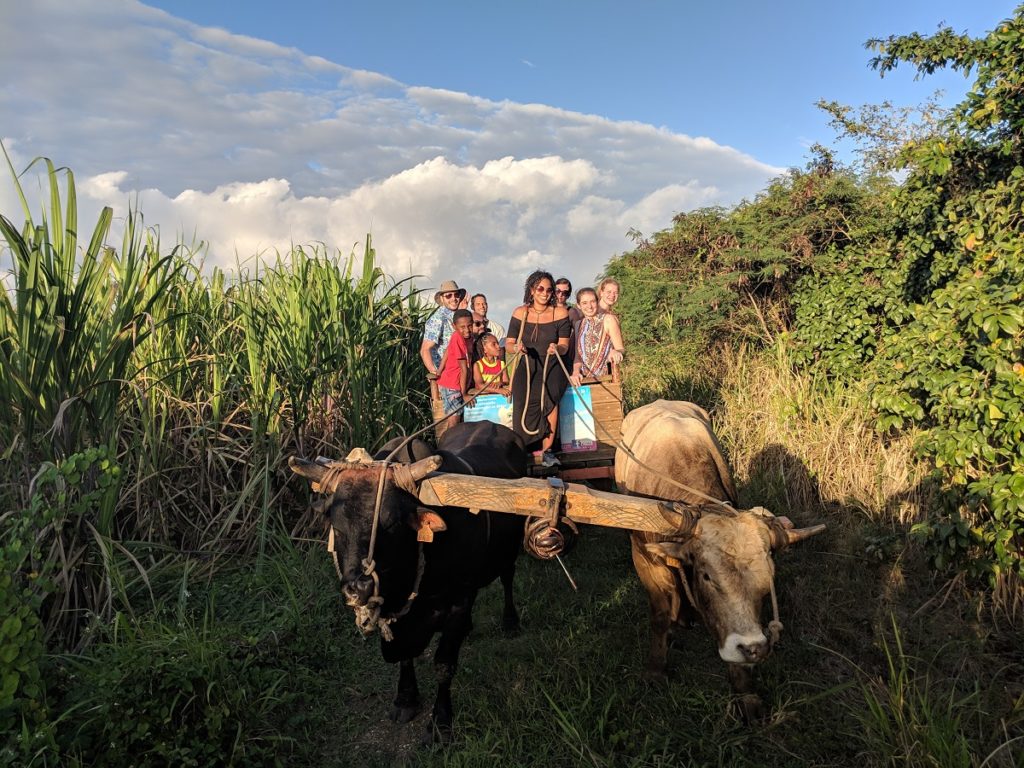 Touristes québécois en Guadeloupe dans le cadre du projet Carlnada