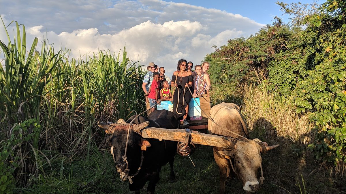 CARLNADA, pour une collaboration touristique Québec-Guadeloupe