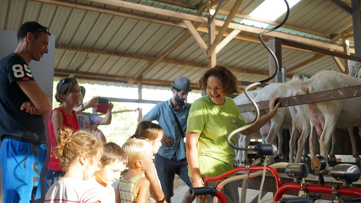 Intervig met en place un label et des événements pour “consommer local”