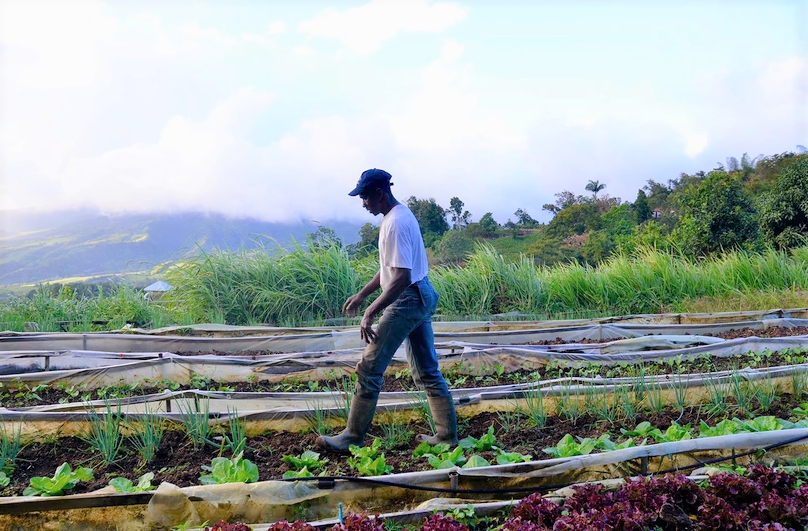 Léon TIsgra, à l'initiative du PDER en Martinique