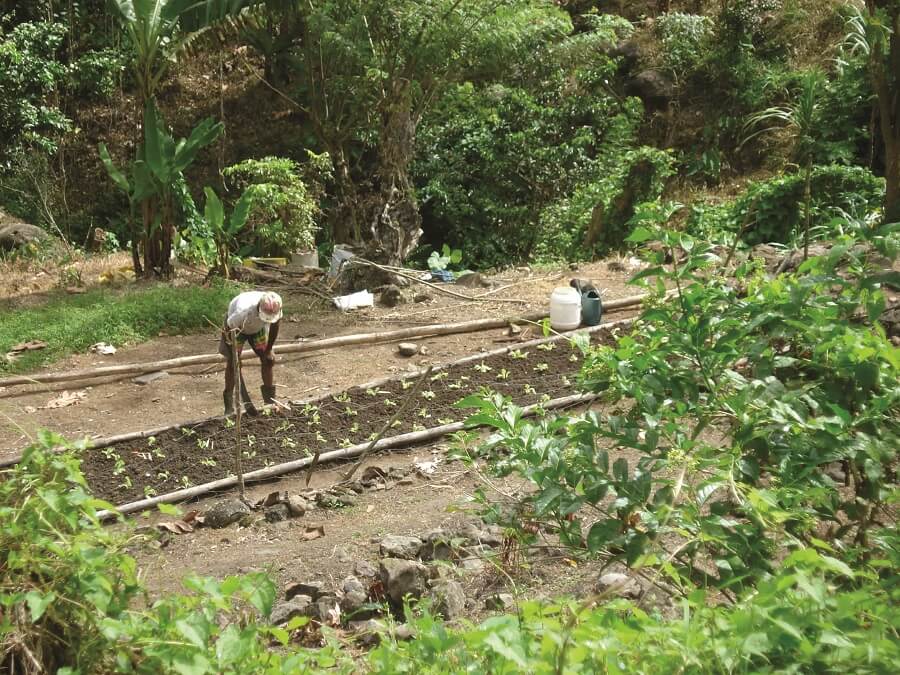 Agriculteurs