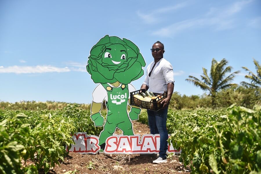 Cueillette de salades Mr Salade - Anse-Bertrand - Guadeloupe