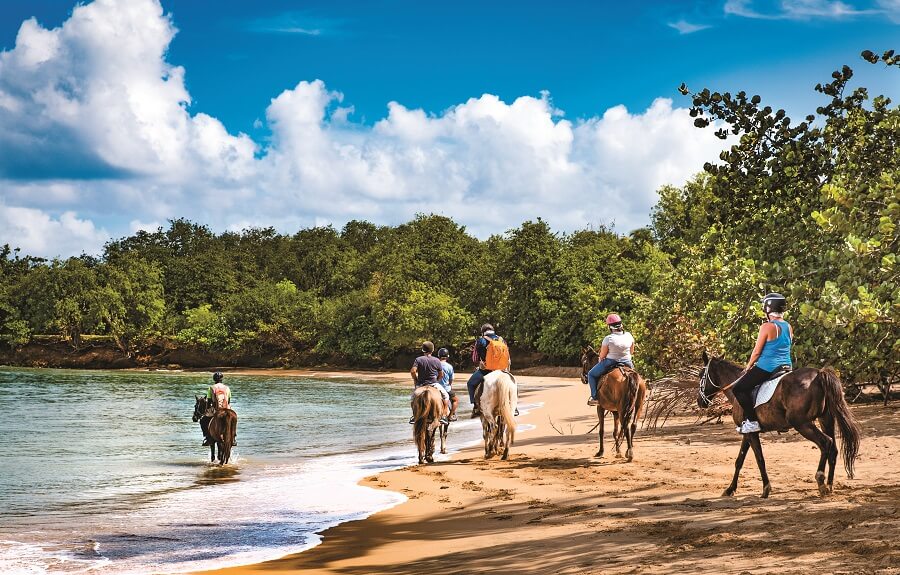 Ranch des 2 ilets - Balade à cheval - Guadeloupe