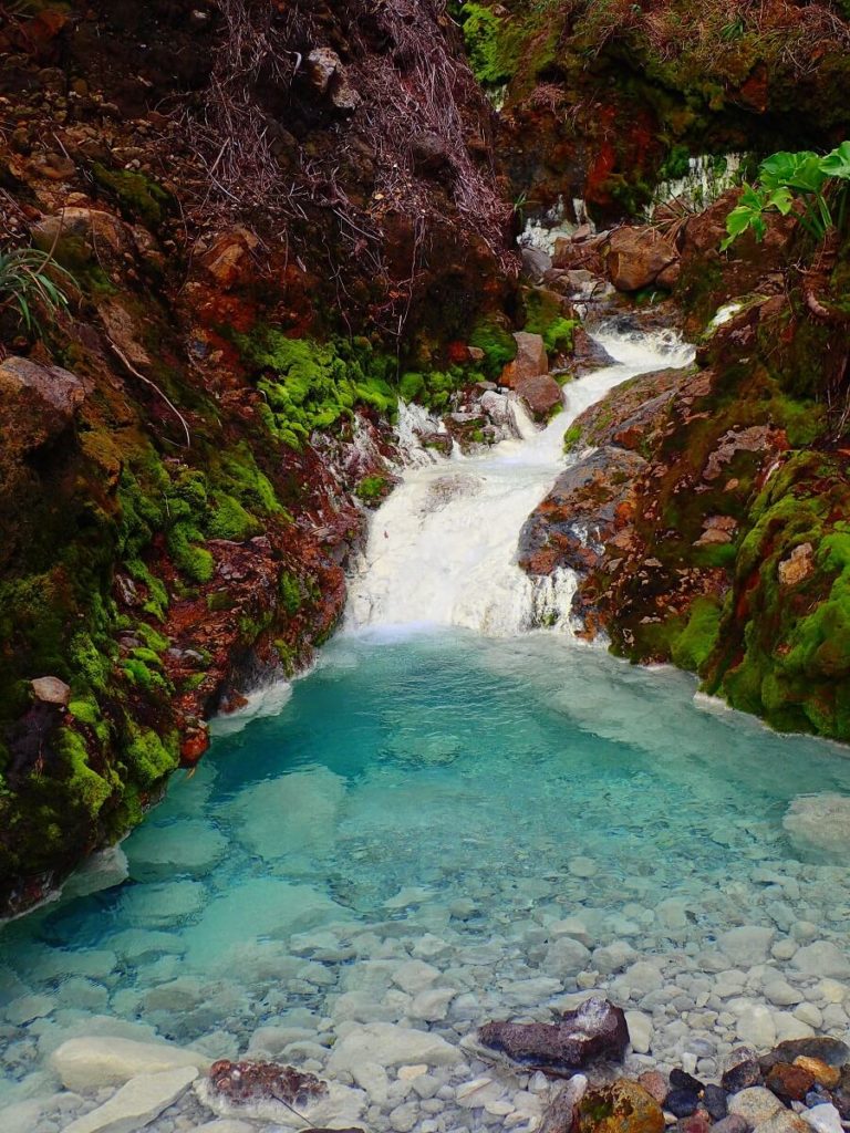 Rivière - Sud Basse Terre - Guadeloupe