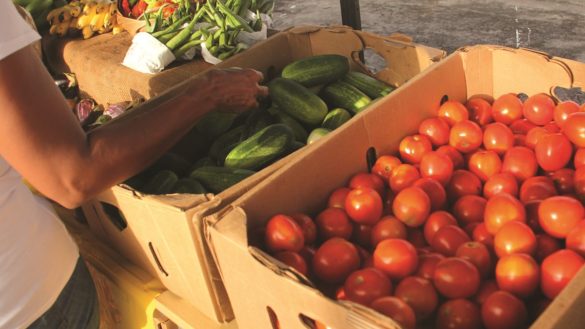 Marché participatif zéro chlordécone - Ka'Ba Péyi a - Martinique