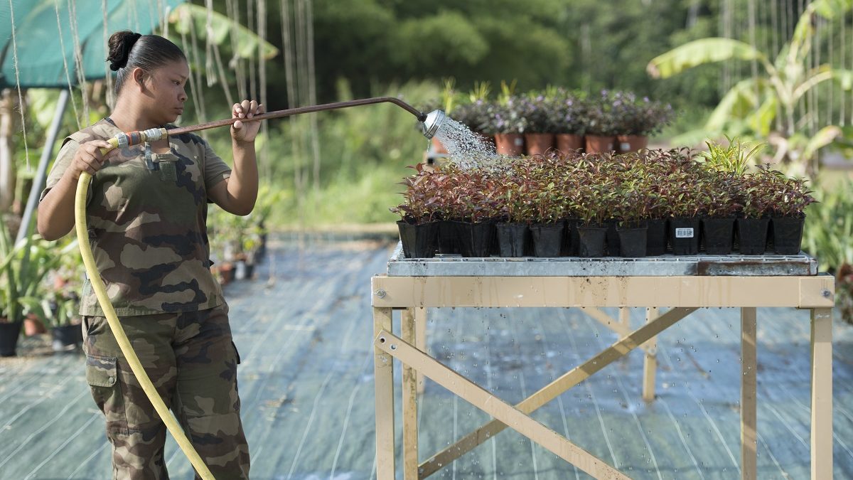 Le programme pour la jeunesse de l’intérieur des terres du RSMA Guyane