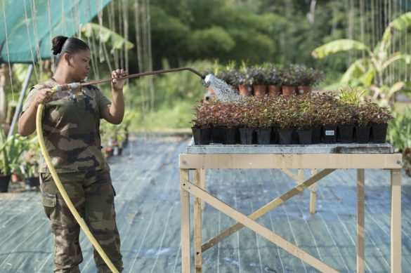 Formation jeunes amérindiens - RSMA Guyane