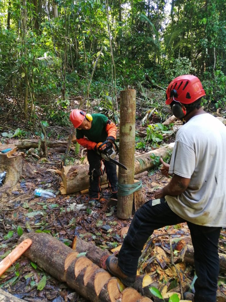 Formation ouvrier du paysage - RSMA Guyane