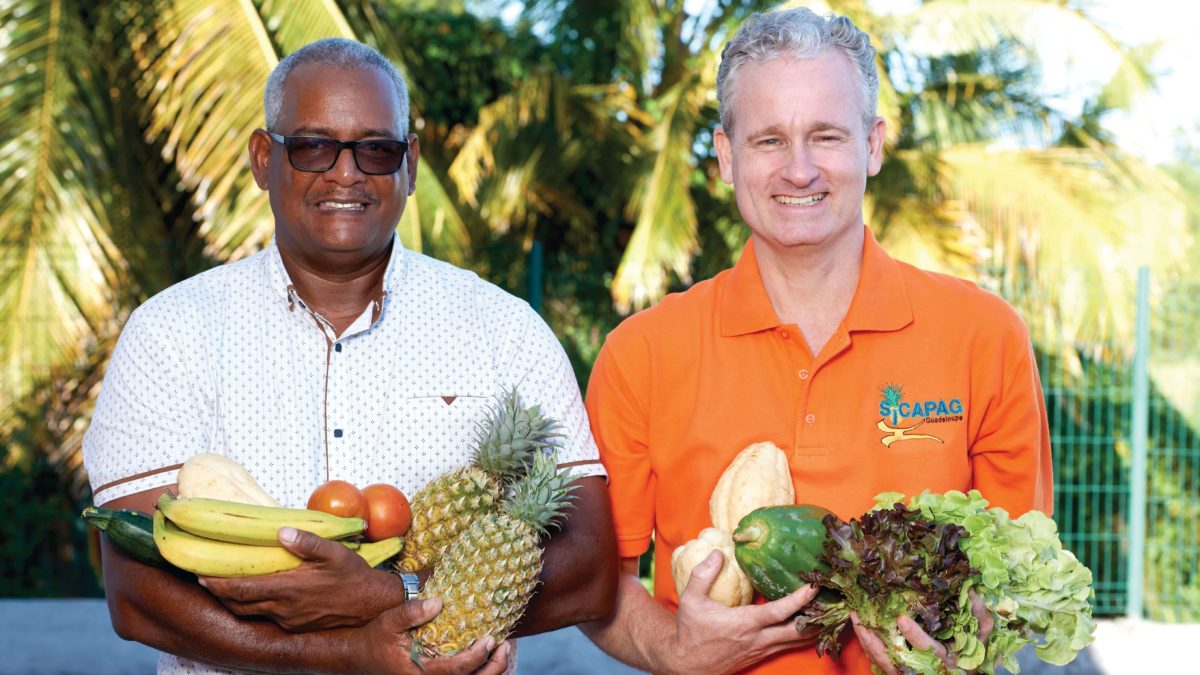 Peut-on rendre le bio accessible à tous en Guadeloupe ?