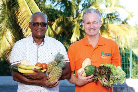 Alex Bandou et Emmanuel Colette - Sicapag - production bio Guadeloupe