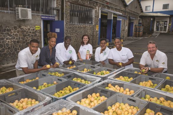 Equipe - Usine Denel - Martinique