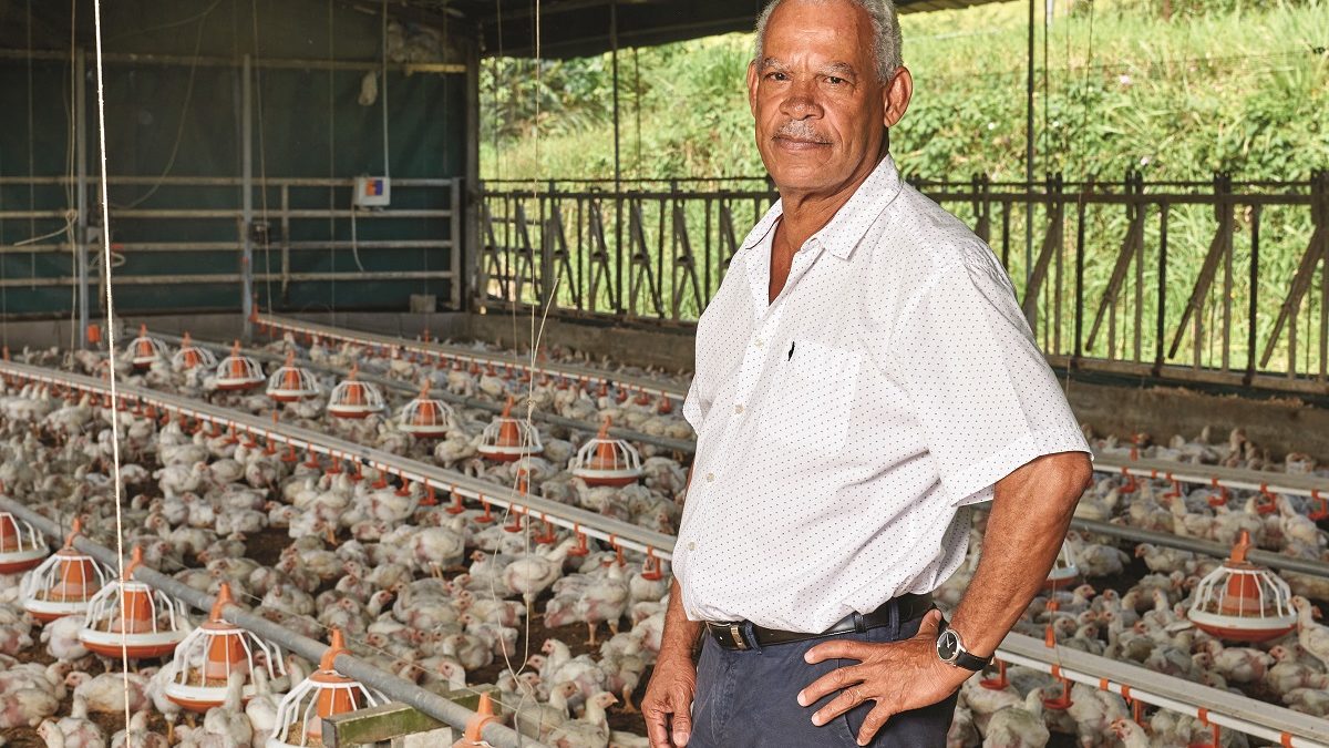 A la rencontre de Guy Lurel, éleveur de poulets guadeloupéen