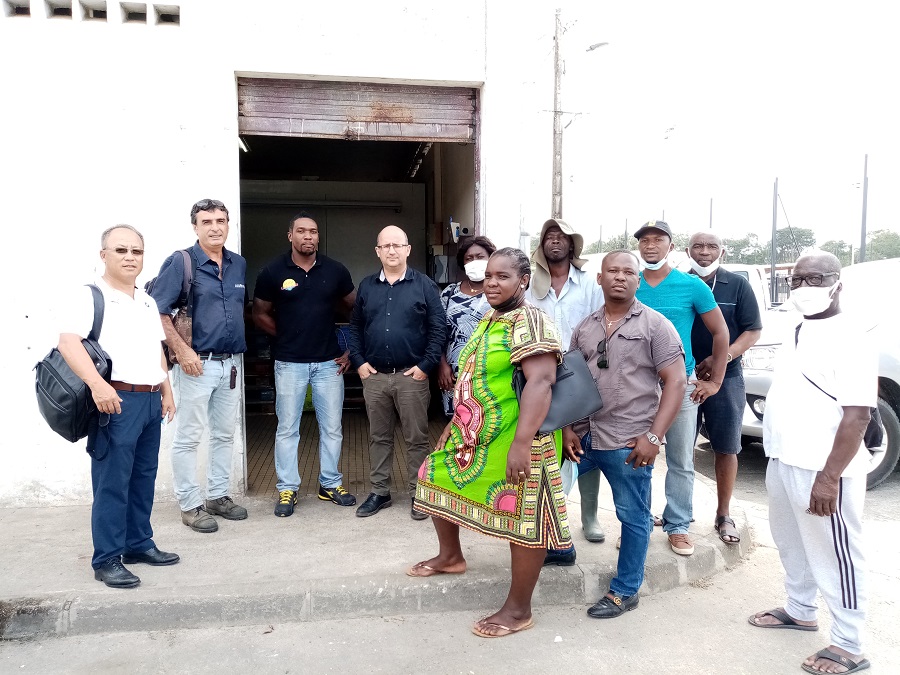 Agriculteurs - Interprofession des Filières Végétales - Guyane