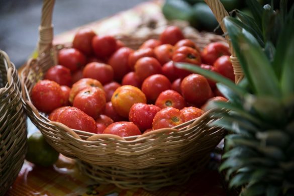 Production locale de tomates