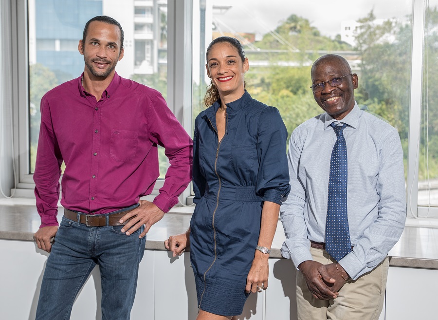 Experts-comptables - Martinique