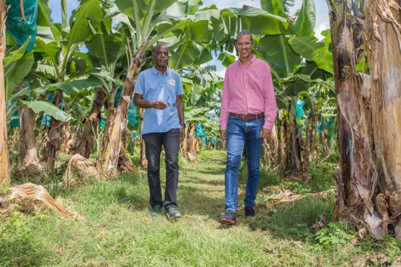 Responsables du Fonds d'indemnisation des victimes de pesticides - CGSS Martinique
