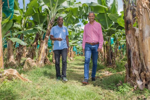Responsables du Fonds d'indemnisation des victimes de pesticides - CGSS Martinique