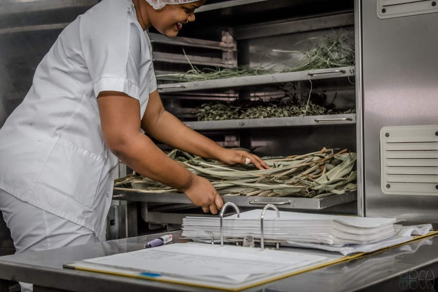 Recherche & Développement agroalimentaire - PARM - Martinique