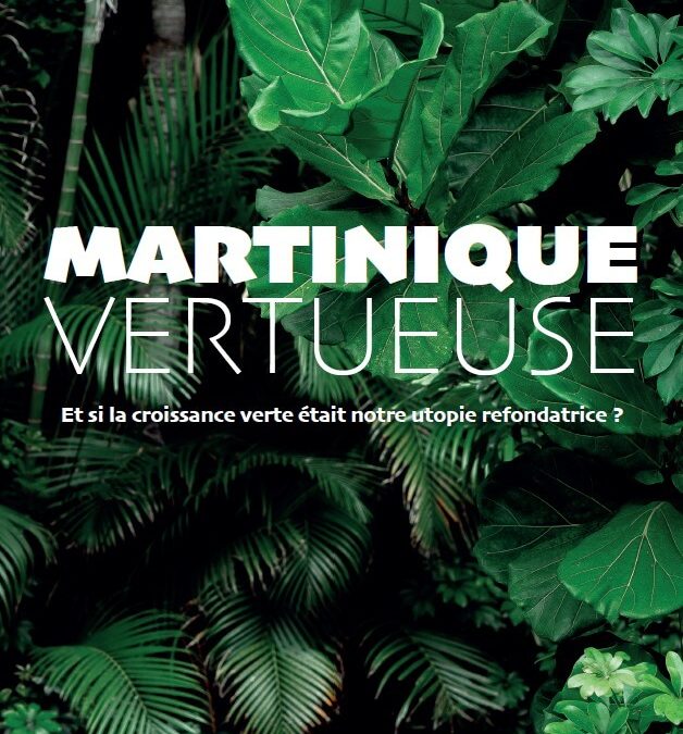 Petit livre vert : « axe majeur du développement économique »