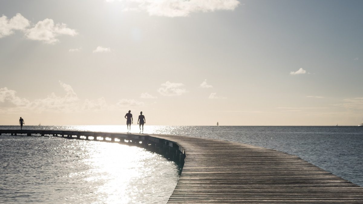 Quelle économie d’avenir pour les territoires antillais ?