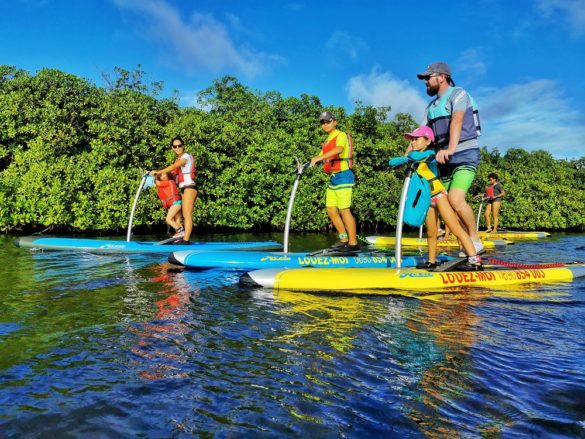 Step paddle -Guadeloupe