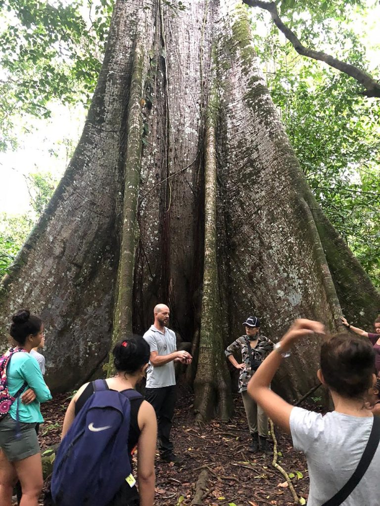 Promotion licence pro Tourisme et Loisirs - Université de Guyane