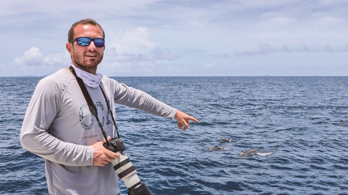 Coup de cœur : Caribbean Cetacean Society et la protection des cétacés