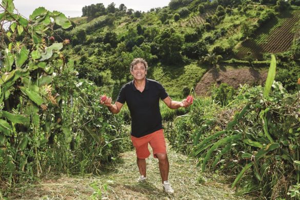 Frédéric Bourseau - producteur Pitaya - ASSOFWI - Guadeloupe