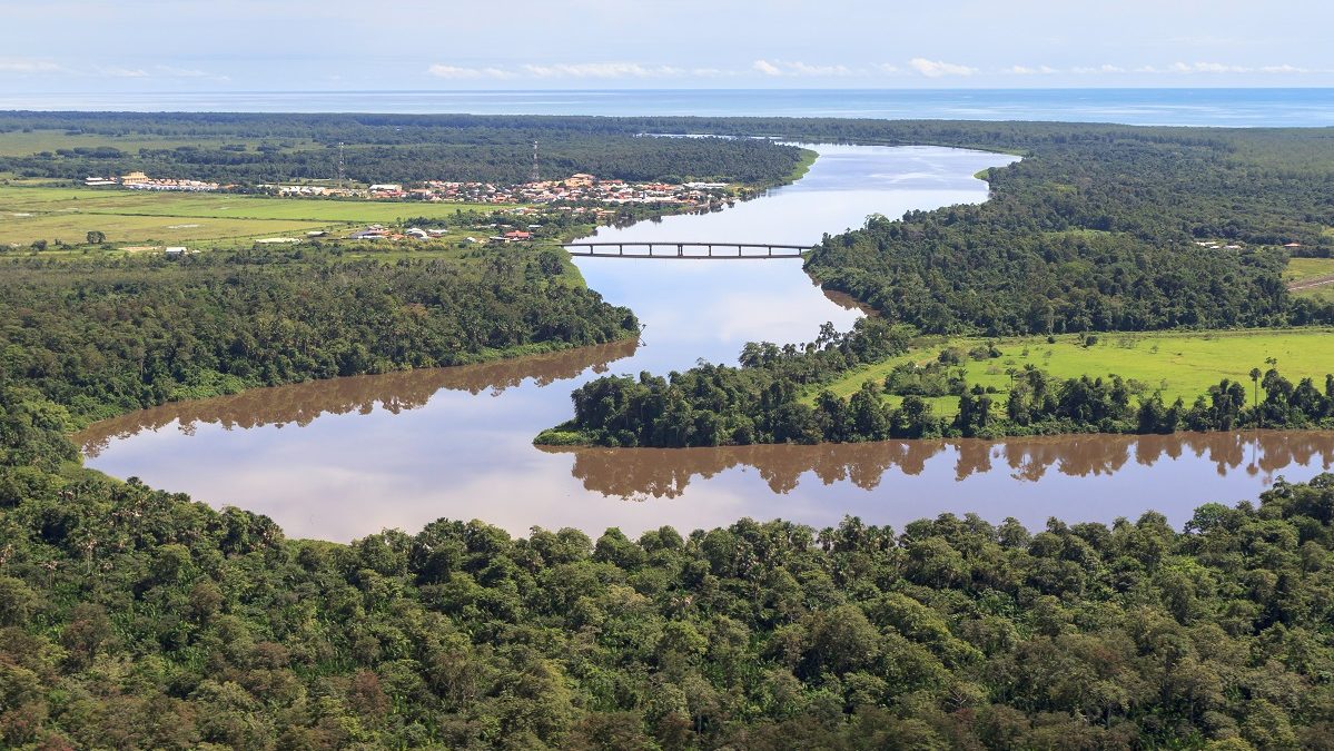 Les vœux du CESECE Guyane pour construire la Guyane de demain