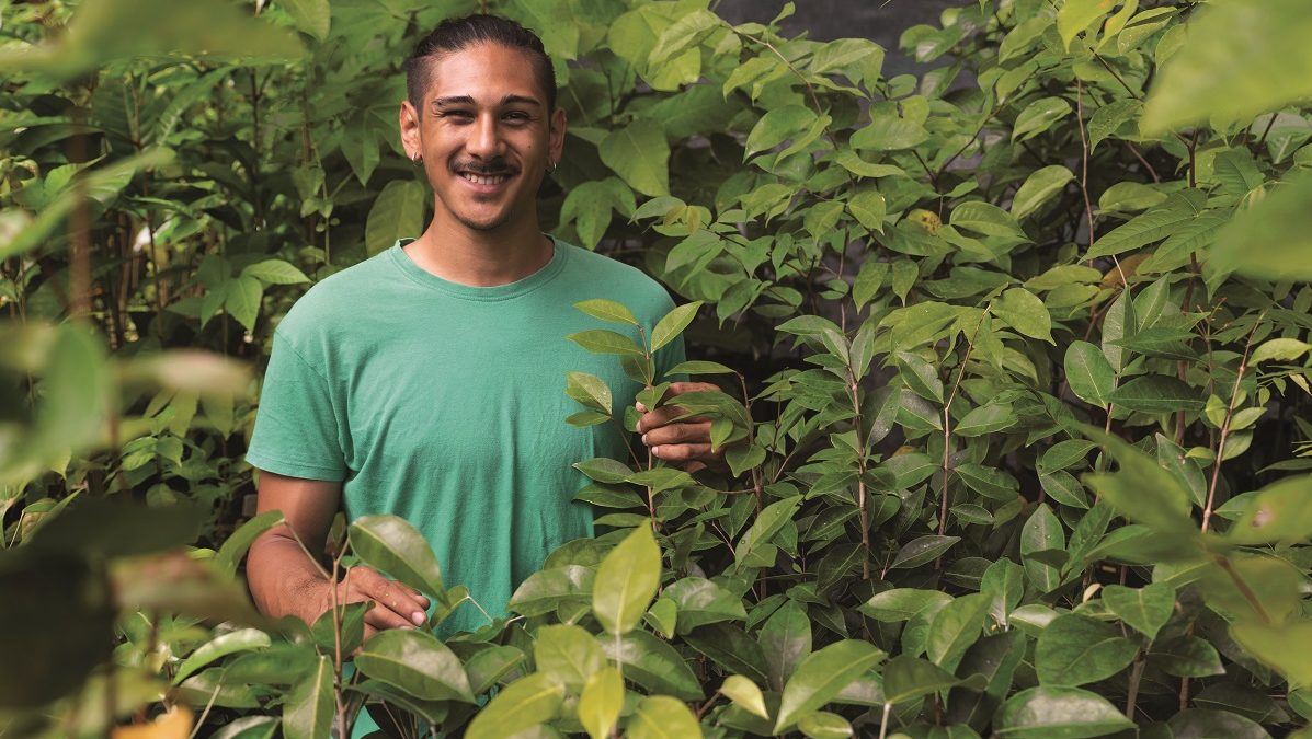 Coup de cœur : le conservatoire botanique de Martinique préserve la flore