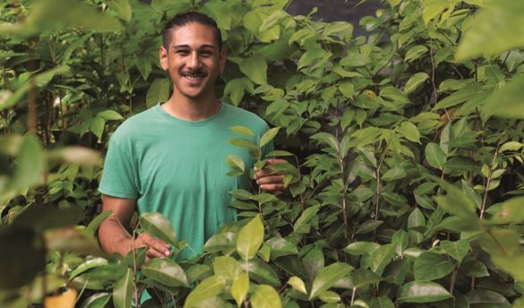 Hugo Florance, technicien Conservatoire Botanique National de Martinique