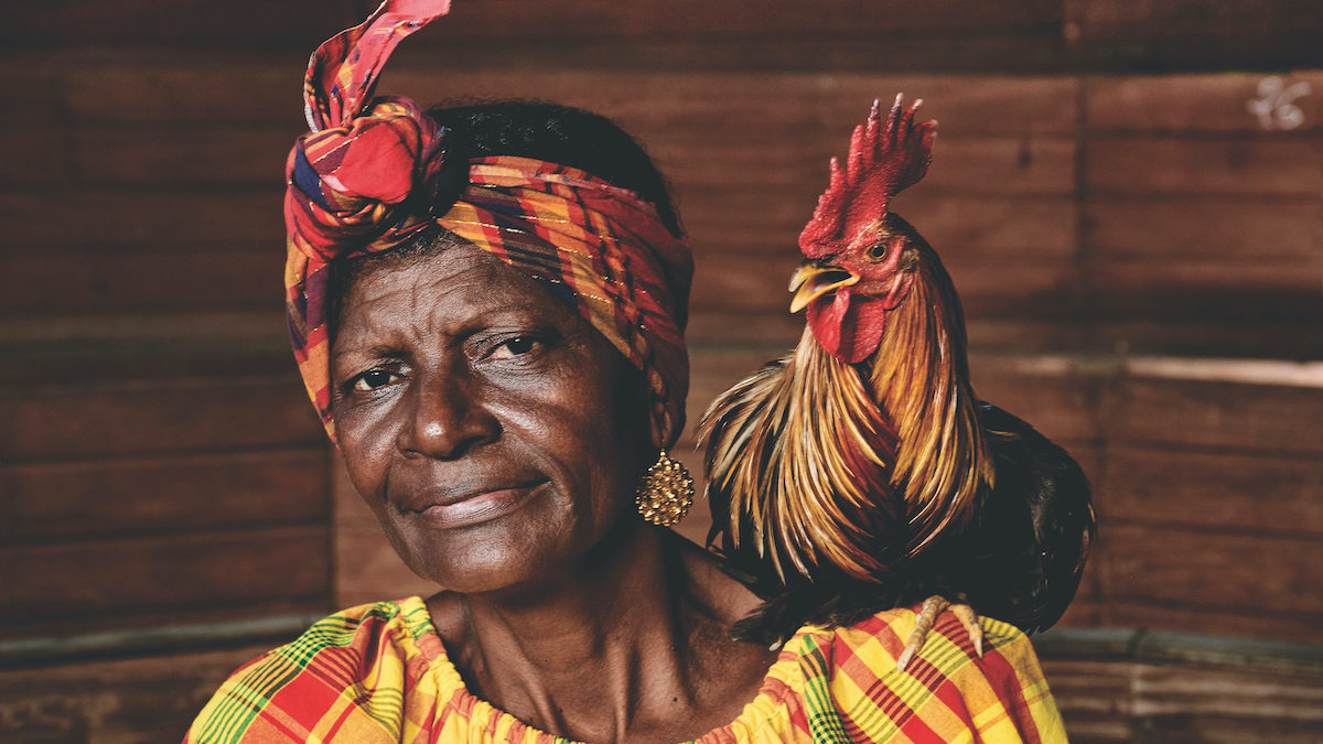 Dolorès Bélair, gardienne de la tradition du pitt à coq guadeloupéen