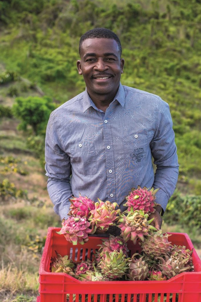 Rosevelt Anilus, producteur en Guadeloupe