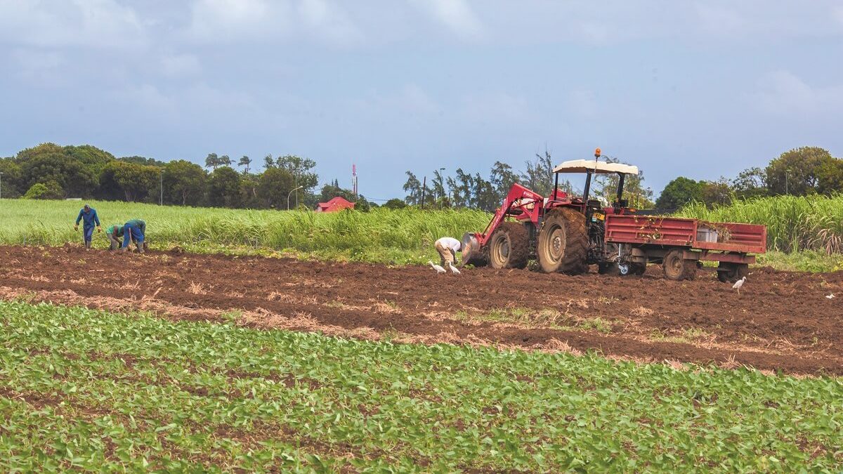 REACT, pour des agriculteurs formés dans leur bassin géographique