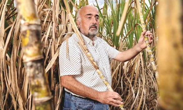 Cyrille Mathieu, président interprofession canne-sucre Iguacanne - Guadeloupe