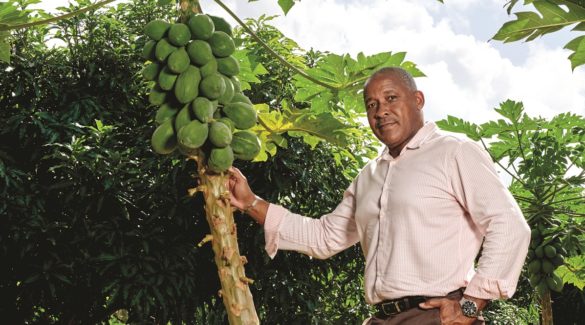 Rodrigue Trèfle, Président directeur général Safer Guadeloupe