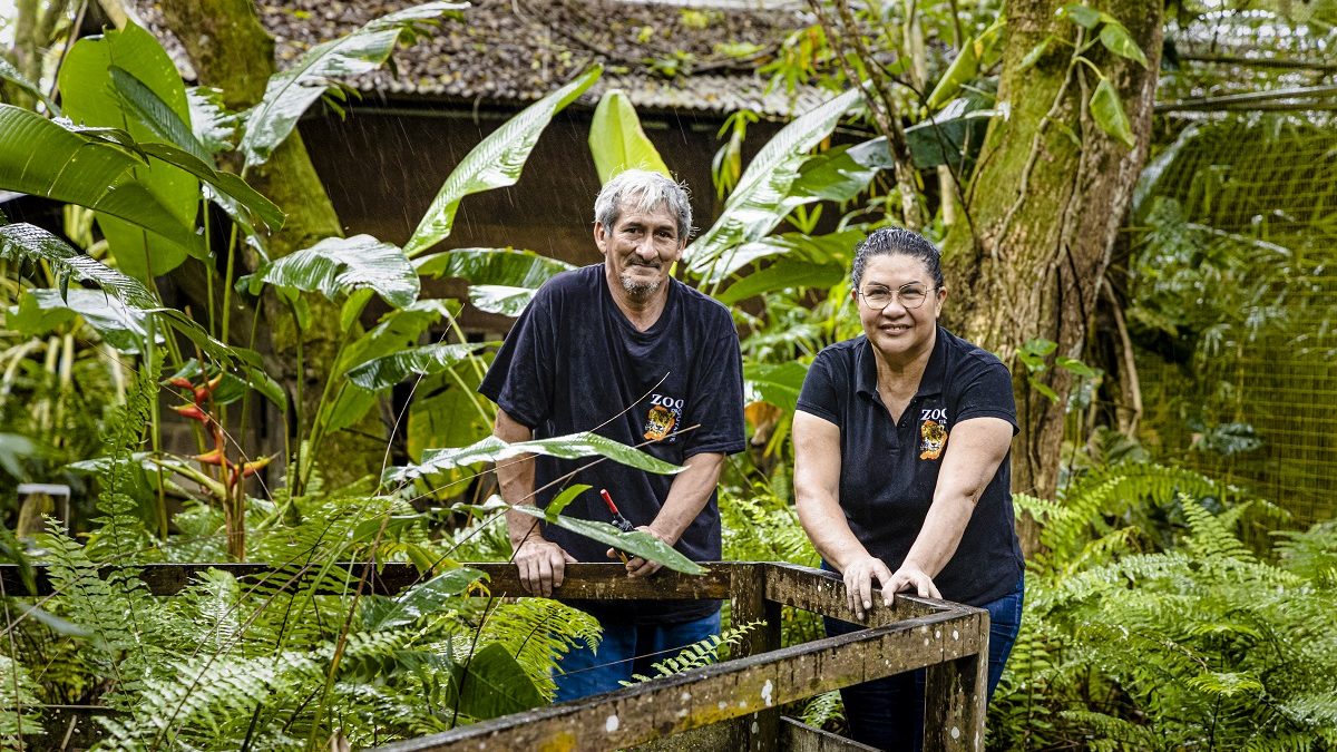 Le Zoo refuge de Guyane, un patrimoine vivant à soutenir