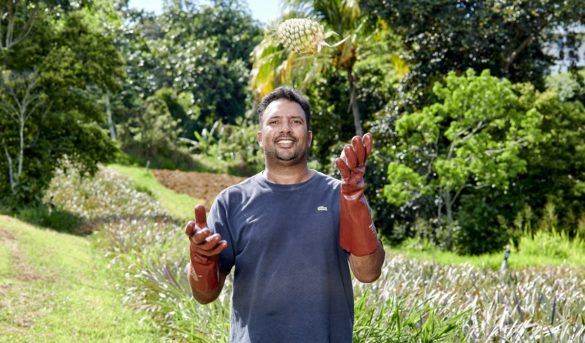 Frantz Imambakas, producteur d’ananas - Guadeloupe