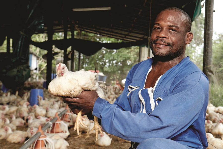 Mario Eliezer-Vanerot, éleveur guadeloupéen