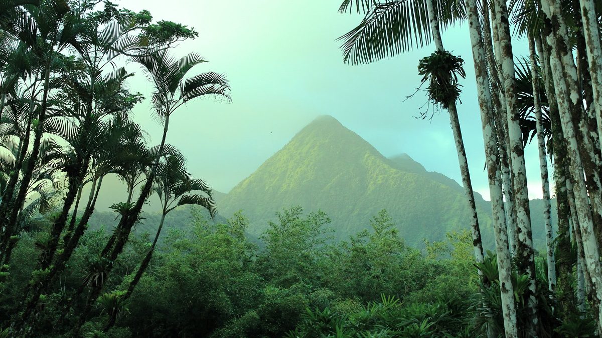 À la découverte de la 1ère édition de Martinique Merveille du Monde