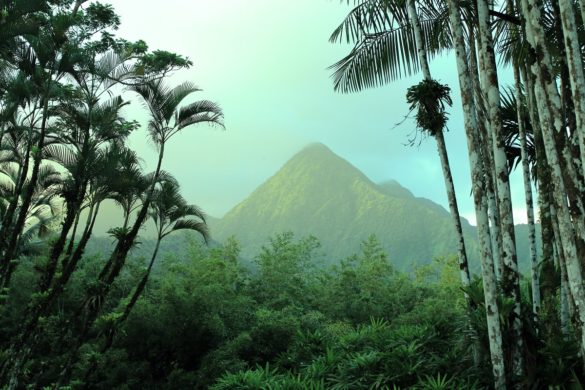 Un des pitons du Carbet en Martinique