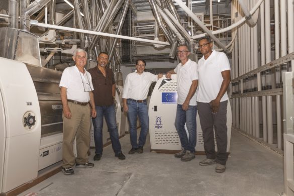 Equipe du Meunier des Antilles, fabrication de farines en Martinique