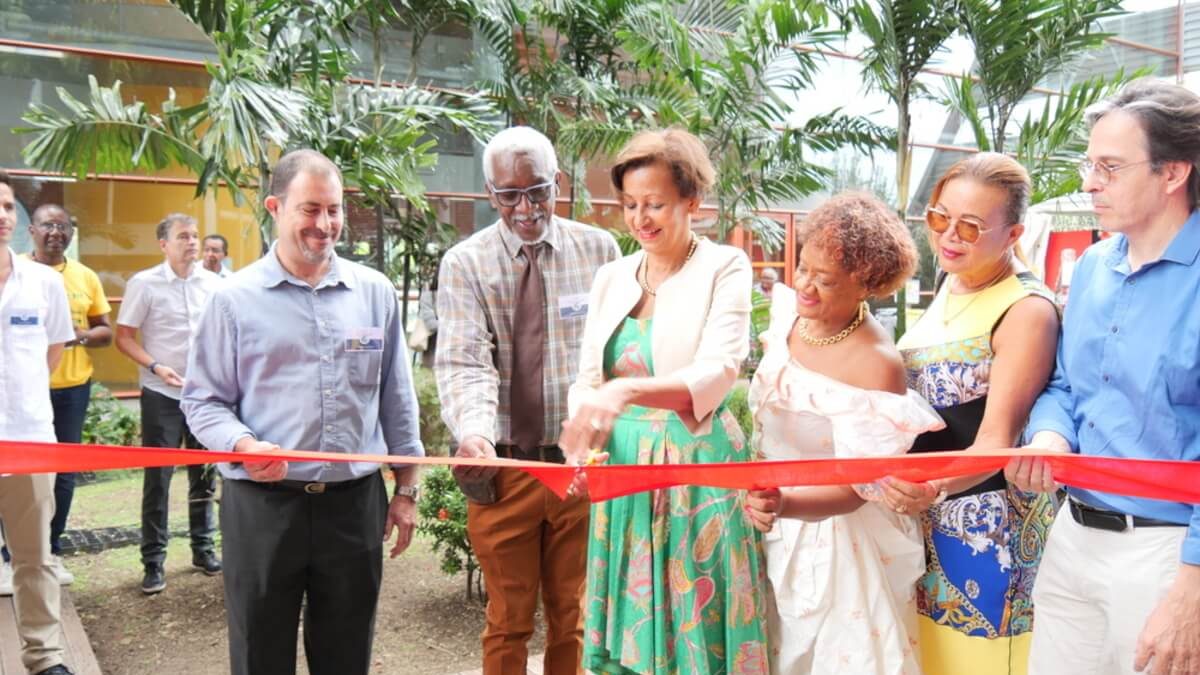 Pour la CRESS IG : l’Économie Sociale et Solidaire est-il un secteur d’avenir pour la Guadeloupe ? 