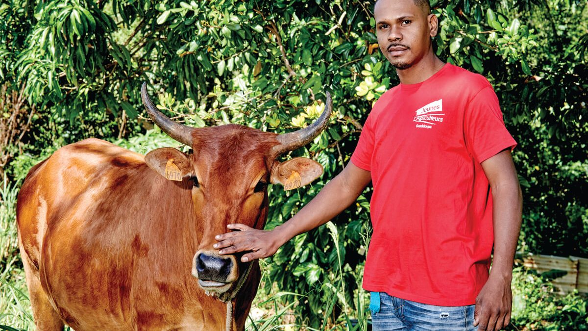 Un syndicat pour redorer le blason de l’agriculture  